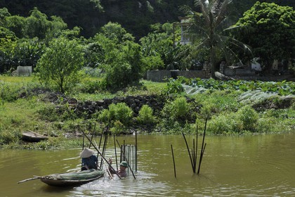 Vietnam, province de Ninh Binh, implantation de filets à poisson dans la rivière