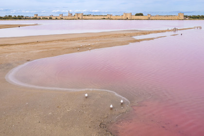 France, Gard (30), Aigues-Mortes, la ville médiévale entourée par ses remparts en bordure des marais salants (Salins du Midi) (vue aérienne)
