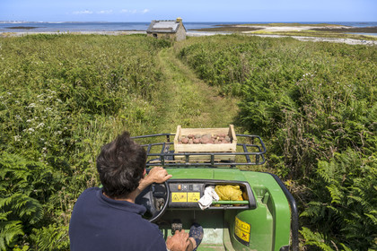 France, Finistère (29), Mer d'Iroise, archipel de Molène, Ile de Quéménès, ferme de Quéménès bio et autonome en énergie, l'agriculteur Etienne Menguy