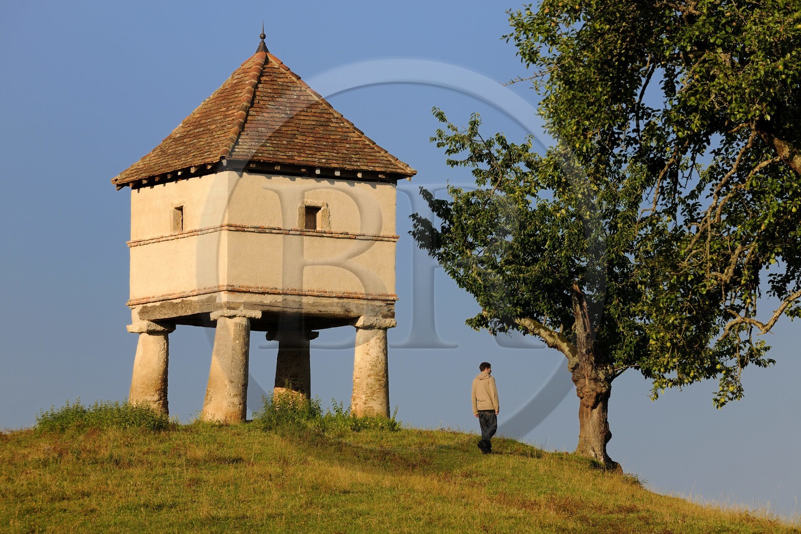 France, Saône et Loire (71), Cluny, pigeonnier qui surplombe la ville