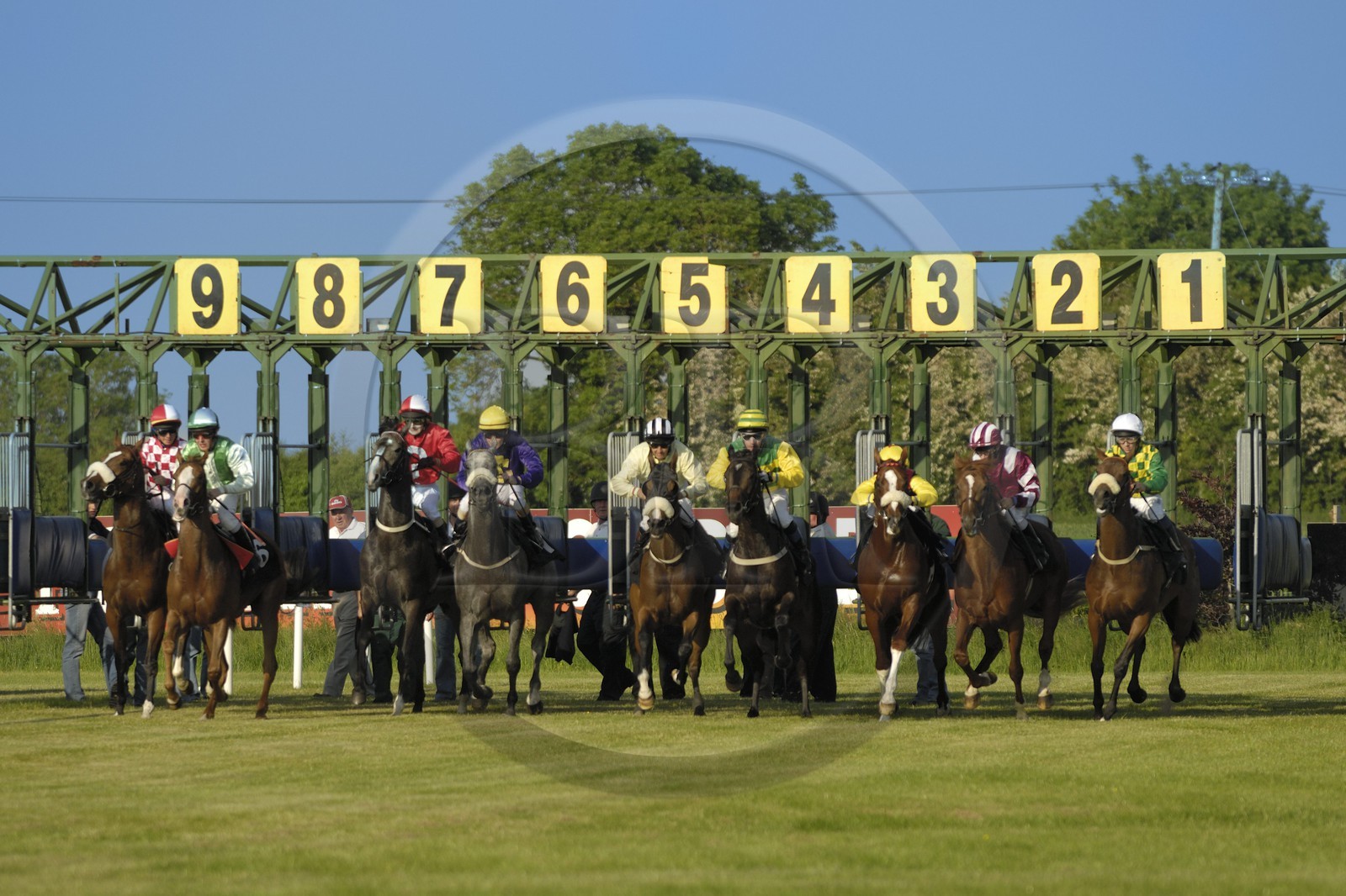 Irlande, Co. Meath, hippodrome de Fairyhouse, départ de la course