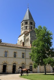France, Saône et Loire (71), Cluny, le Haras national accolé au clocher de l'Eau Bénite de l'ancienne abbaye