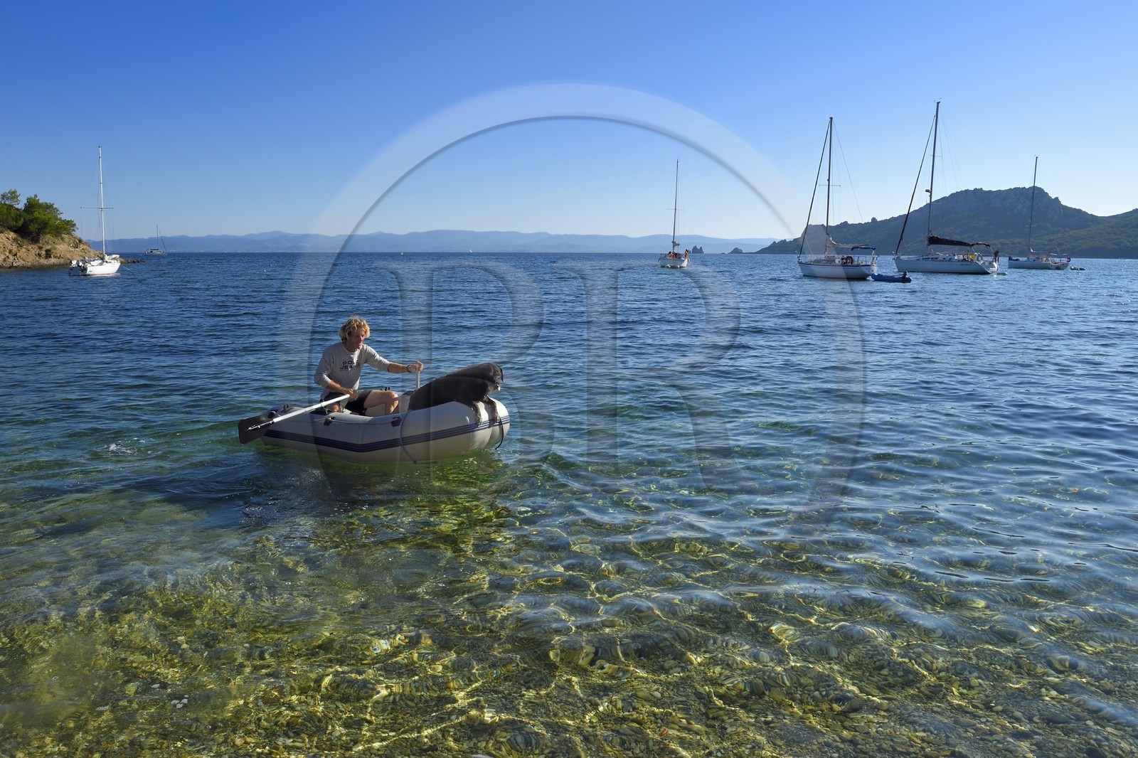 France, Var (83), Iles d'Hyères, parc national de Port Cros, Ile de Porquerolles, plage de l'Alycastre dans la Baie de l'Alycastre, Jean-Pierre et son chien Carbone qui vont rejoindre son voilier Sun Fast 37 dans l'annexe