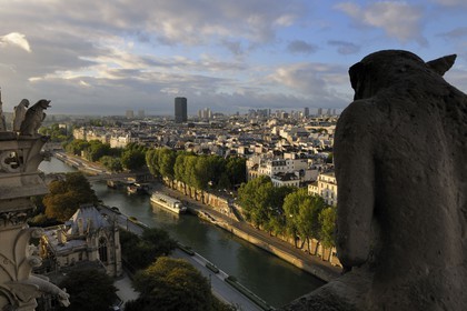 France, Paris (75), les rives de la Seine classées Patrimoine Mondial de l'UNESCO, île de la Cité, la cathédrale Notre-Dame, les chimères observent la ville