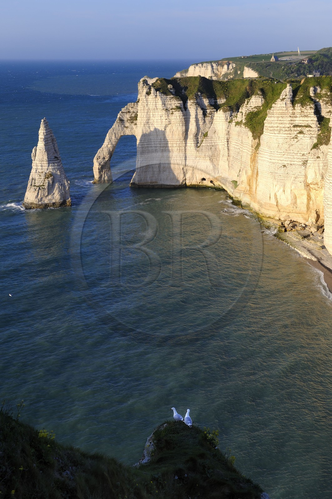 France, Seine-Maritime (76), Pays de Caux, Côte d'Albâtre, Etretat, la falaise d'Aval et l'Aiguille Creuse