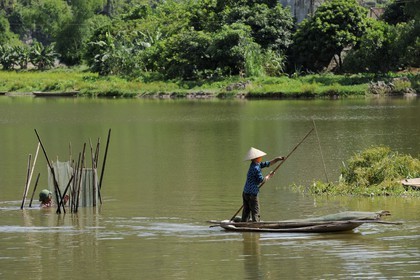 Vietnam, province de Ninh Binh, implantation de filets à poisson dans la rivière
