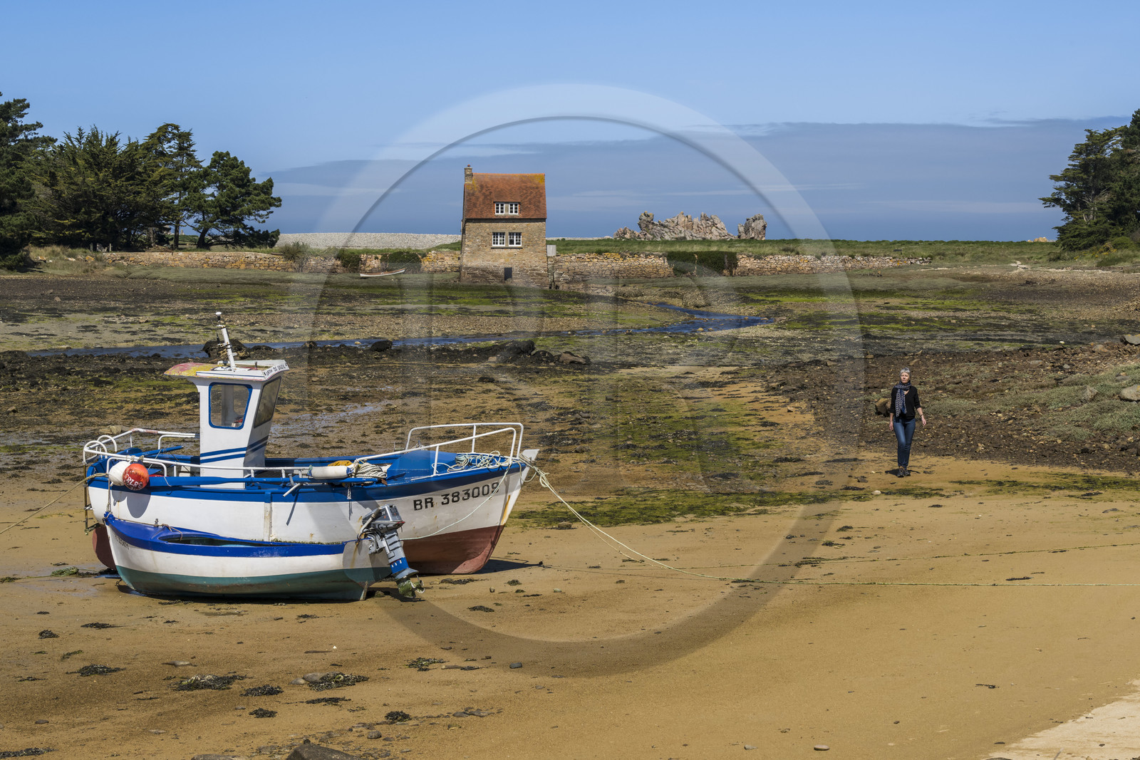 France, Côtes-d'Armor (22), Côte d'Ajoncs, Penvénan, moulin à marée de l'Ile Balanec à marée basse