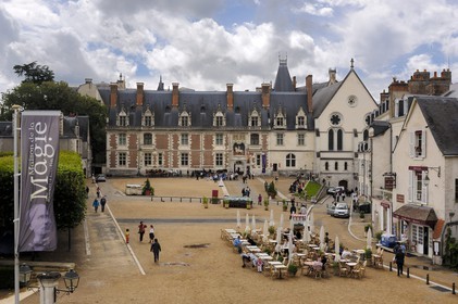 France, Loir-et-Cher (41), vallée de la Loire classée au Patrimoine Mondial de l'UNESCO, château de Blois, façade de l'aile Louis XII
