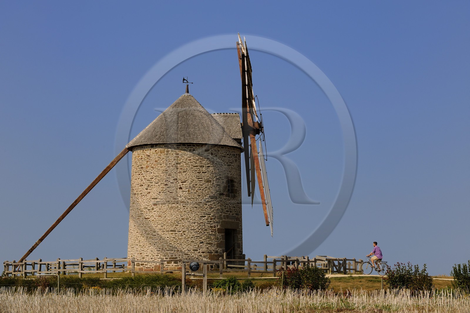 France, Manche (50), Baie du Mont-Saint-Michel, route des moulins, moulin à vent de Moidrey
