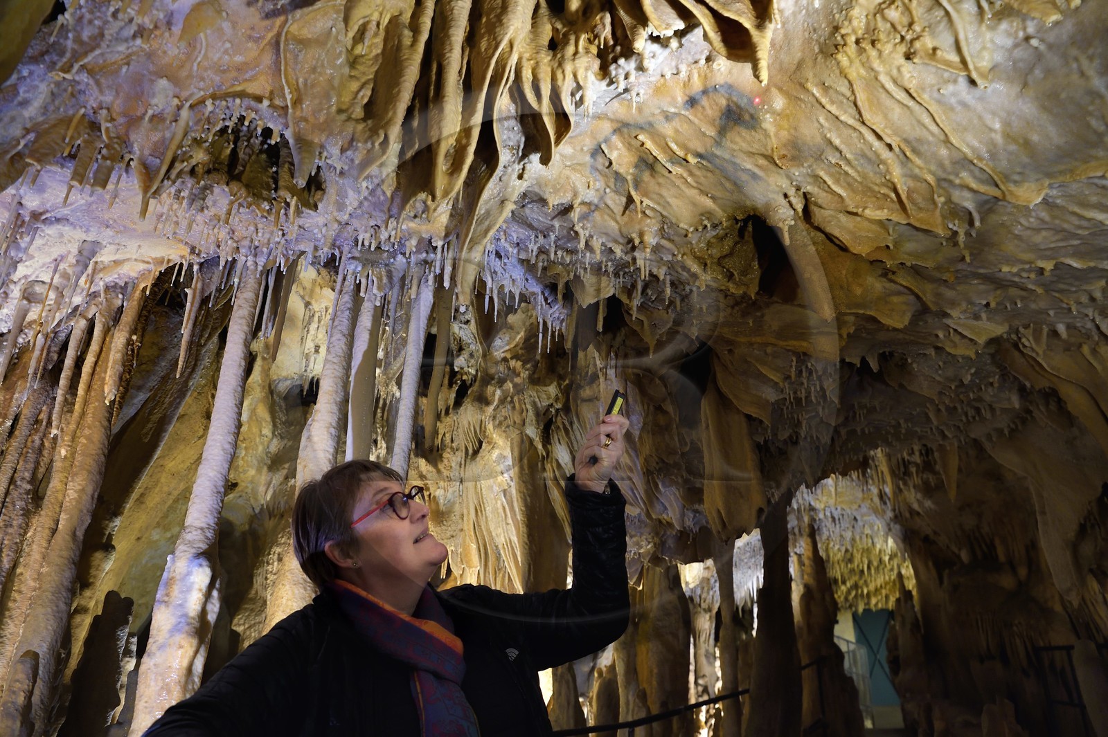 France, Dordogne (24), Périgord Vert, Villars, Grotte de Villars, dessin paléolithique au dioxyde de manganèse surnommé le Petit Cheval bleu datant d' environ 17000 ans (Magdalénien), il est recouvert par un manteau de calcite semi-transparent