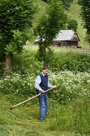 Romania, Transylvania, Brasov region, the Fagaras Mountains at Moieciu de Sus in the Southern Carpathians, a farmer mowing his meadows with a scythe