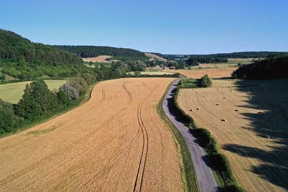 France, Meuse, Lorraine Regional Park, Cotes de Meuse, Saint Remy la Calonne, barley field (aerial view)