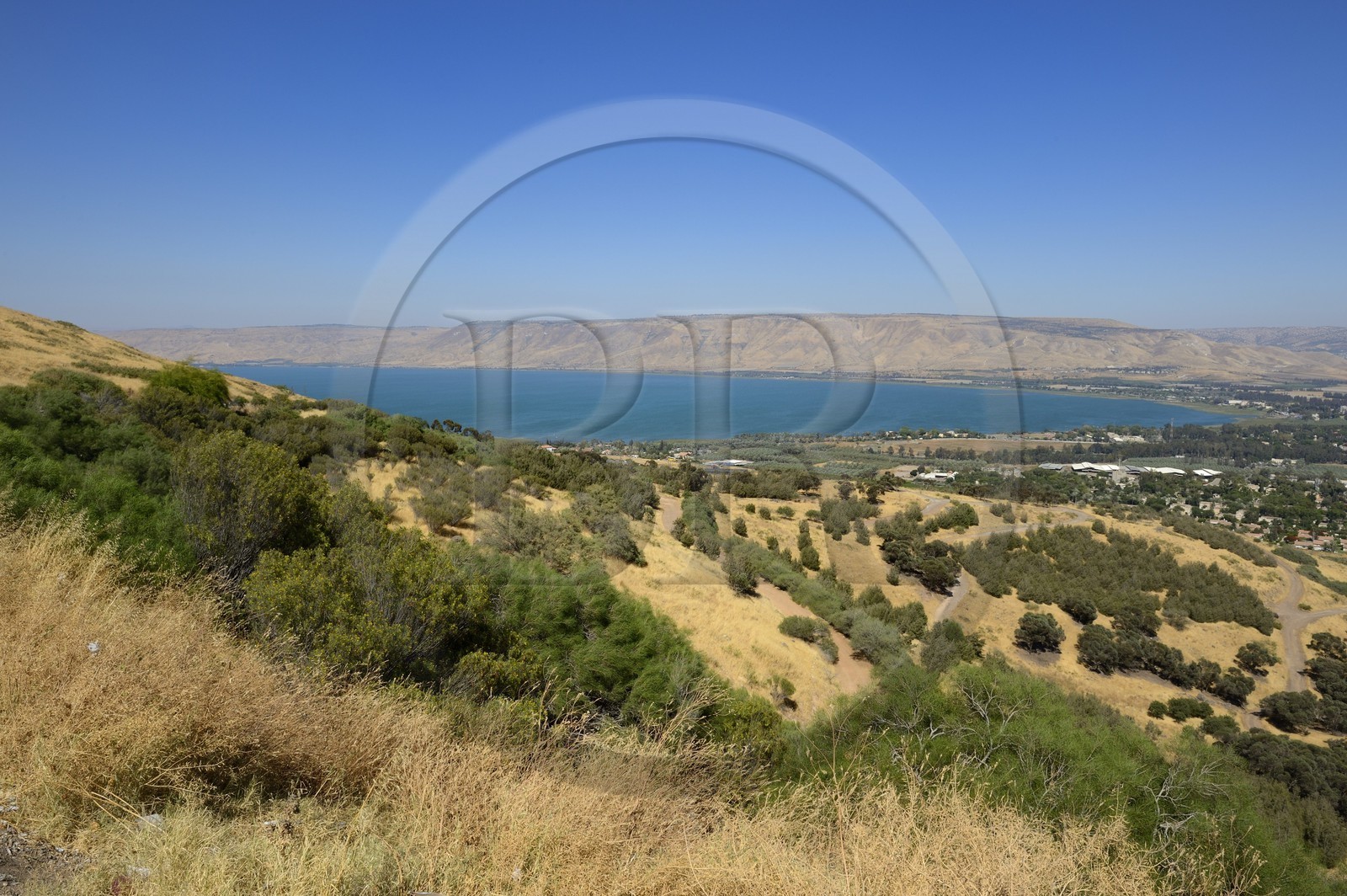Israel, Northern District, Galilee, Tiberias, Sea of Galilee (Lake Tiberias) edges and in the background the hills of Golan
