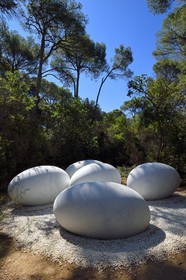 France, Var, Iles d'Hyeres, Parc National de Port Cros (National park of Port Cros), Porquerolles island, Fondation Carmignac, La Couvée (The Brood) (2018) de Nils Udo