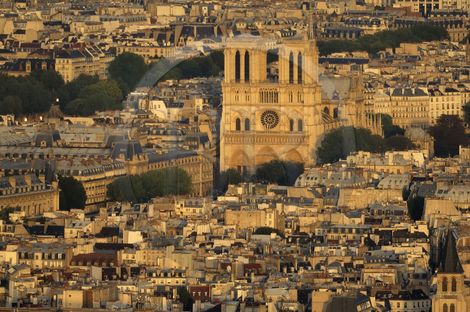 France, Paris (75), Ile de la Cité, cathédrale Notre-Dame de Paris