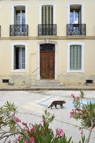 France, Var, Massif des Maures, Collobrières, bourgeois house
