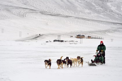 Norvège, Svalbard, Spitzberg, attelage de chiens de traineau dans la vallée de Adventdalen vers Longyearbyen