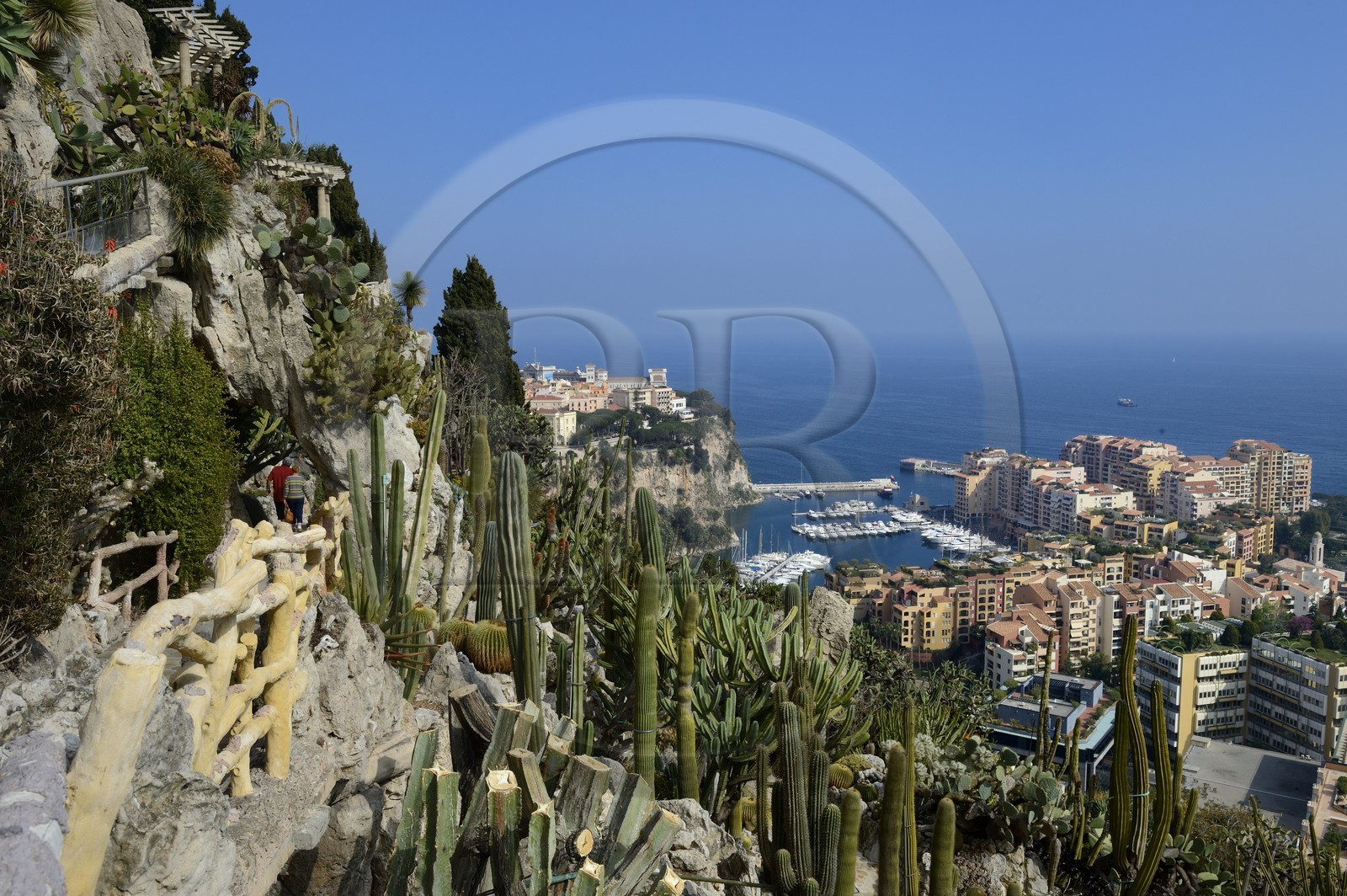 Principauté de Monaco, Monaco, le Jardin Exotique regroupant plusieurs milliers d'espèces de plantes succulentes, le Rocher et le port de Fontvieille en arrière plan