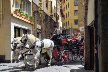 Italie, Toscane, Florence, centre historique classé Patrimoine Mondial de l'UNESCO, calèche dans la rue Borgo Santi Apostoli
