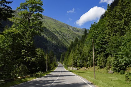 Roumanie, Valachie, Muntenie, Comté de Arges, les monts Fagaras le long de la Route Transfagarasan dans les Carpates du Sud