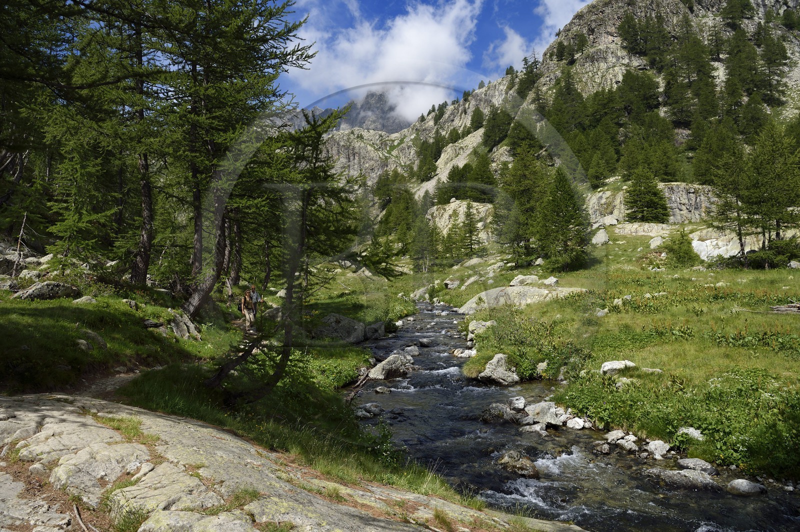 France, Alpes-Maritimes (06), parc national du Mercantour, randonneurs sur le sentier de randonnée de la vallée de la Valmasque, sommets de la haute Valmasque et la cime de l'Agnel (2927m)