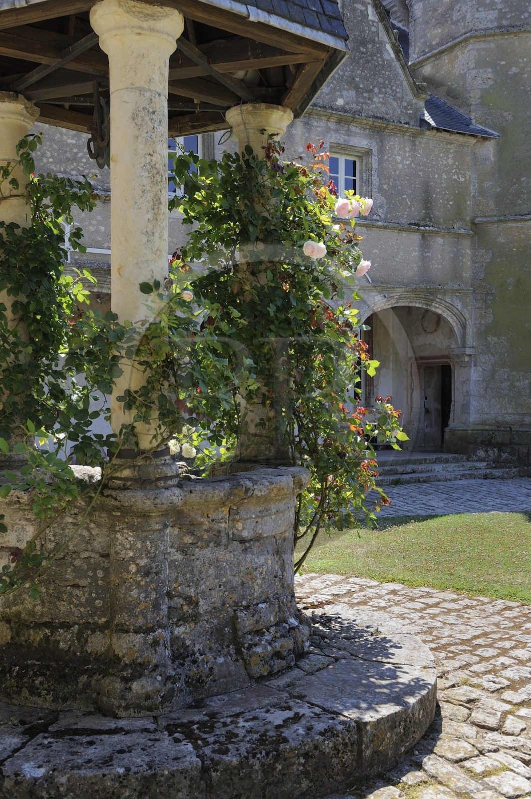 France, Loir-et-Cher (41), château de Talcy, puit au rosier qui a pu inspirer Ronsard