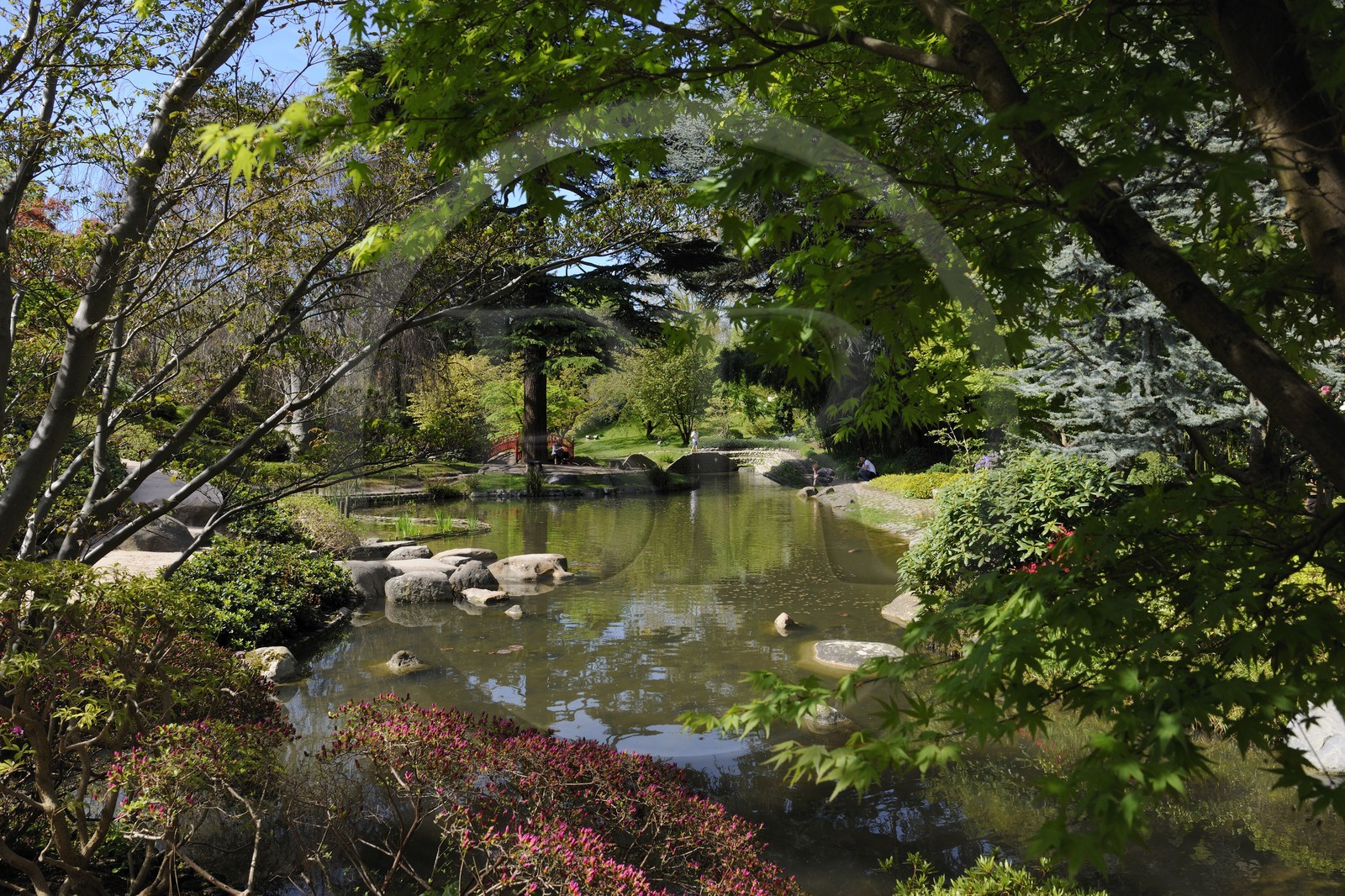 France, Hauts-de-Seine (92), Boulogne-Billancourt, le jardin japonais du musée départemental Albert-Kahn