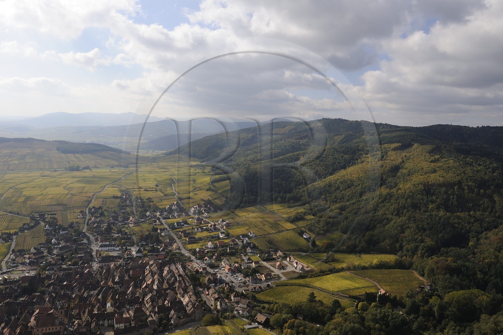 France, Haut-Rhin (68), Riquewihr et son vignoble au pied du massif des Vosges (photo aérienne)