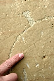 France, Alpes-Maritimes, parc national du Mercantour (Mercantour National Park), the Vallee des Merveilles (Valley of Wonders) scattered with thousands of rupestral engravings of the Bronze Age, the chiappes yellow schist flagstones