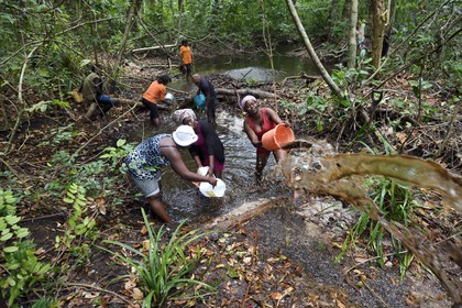 Gabon, province de Ogooué- Maritime, Omboué, région du Loango, pêche traditionnelle en rivière qui consiste à créer un barrage et à vider l'eau pour récupérer les poissons