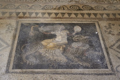 Grèce, île de Delos, classée Patrimoine Mondial de l'UNESCO, site archéologique de Délos, sanctuaire d'Apollon, la plus grande cité antique de la mer Egée, mosaïque représentant Dionysos sur un guépard dans la Maison des masques