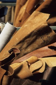 France, Paris (75), quartier du faubourg Saint-Antoine, peausserie Tassin, cuir