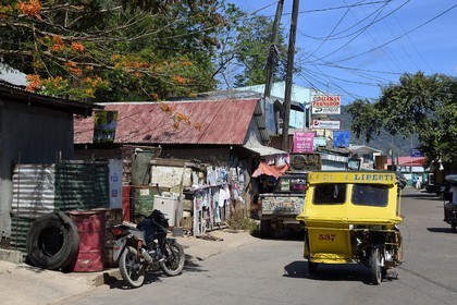 Philippines, Calamian Islands dans le nord de Palawan, Busuanga Island, ville de Coron, tricycle moto-taxi et Palawan cherry tree