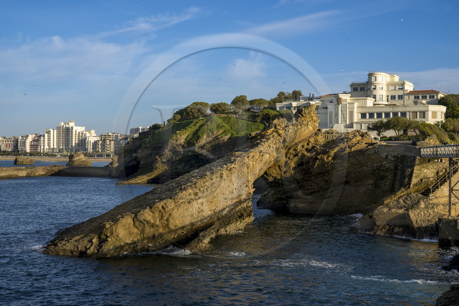 France, Pyrénées-Atlantiques (64), Pays-Basque, Biarritz, l'Aquarium et Musée de la Mer de style Art Déco construit en 1933, poulpe sur le frontispice