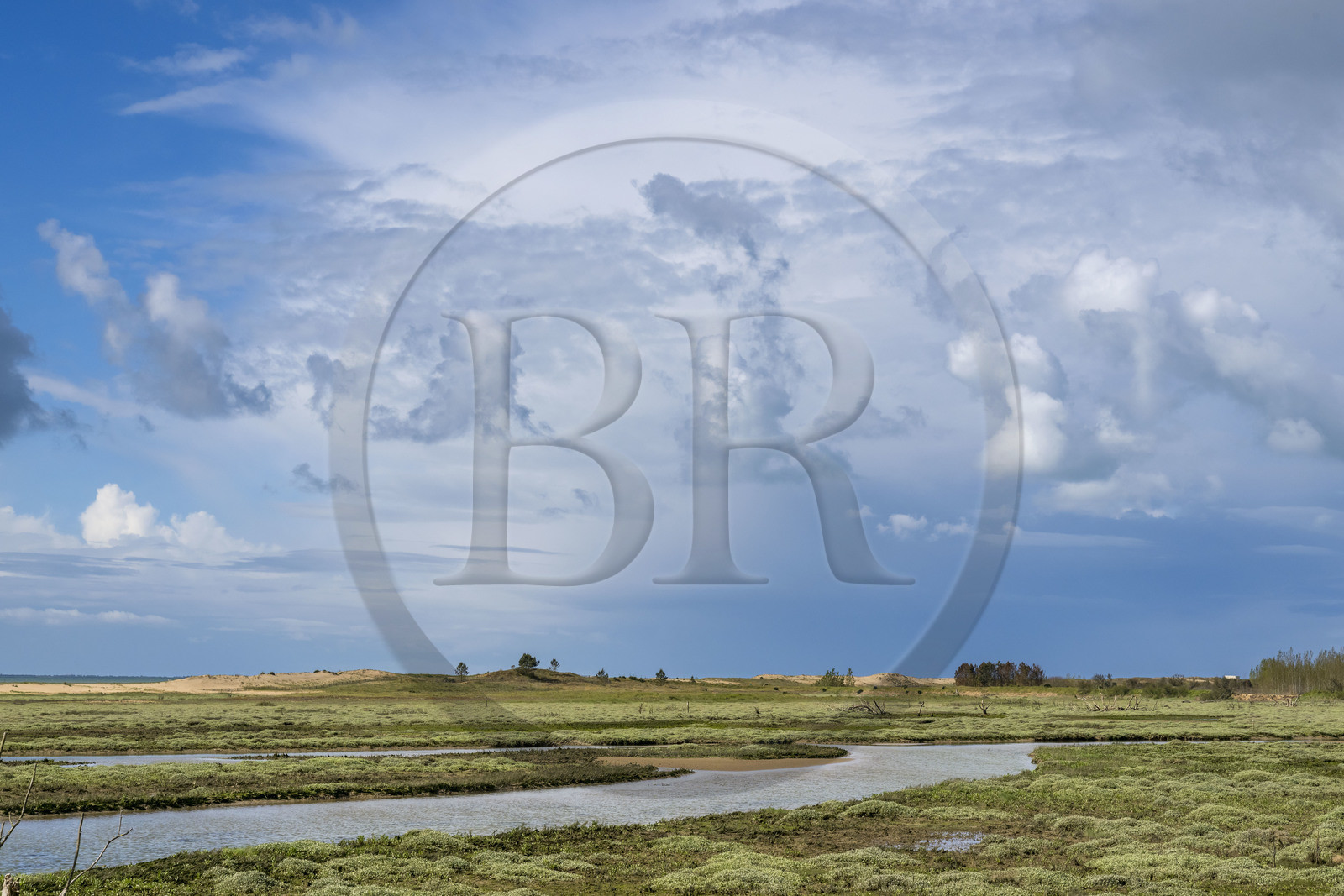 France, Vendee, La Tranche-sur-Mer, Casse de la Belle Henriette nature reserve, one of the last true lagoons on the Atlantic coast