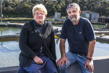 France, Vendée (85), Talmont-Saint-Hilaire, port du village d'ostréiculteurs de la Guittière dans l'estuaire du Payré, l'ostréiculteur Patrick Guyau et son épouse