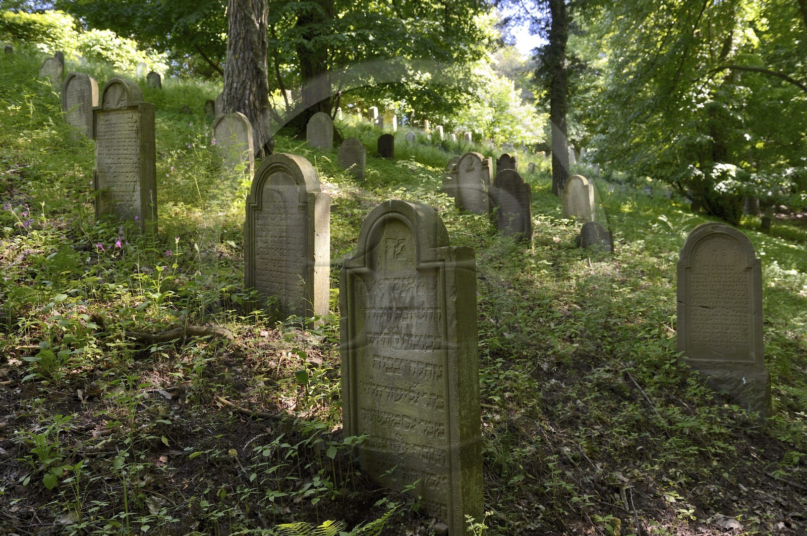 France, Bas Rhin, Saverne, Old Jewish Cemetery