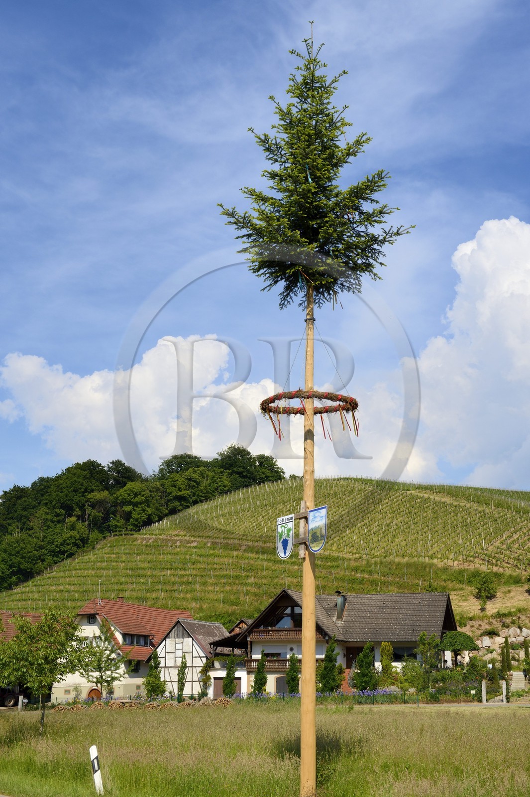 Allemagne, Bade-Wurtemberg, Bottenau, mat de cocagne (maibaum)