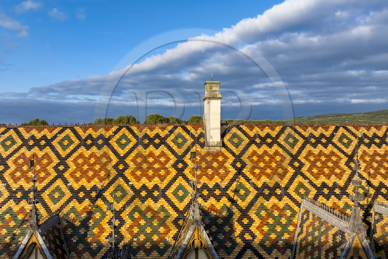 France, Côte-d'Or (21), Beaune, zone classée Patrimoine Mondial de l'UNESCO, Hospices de Beaune, l'Hôtel-Dieu, les toits couverts de tuiles vernissées et colorées (vue aérienne)