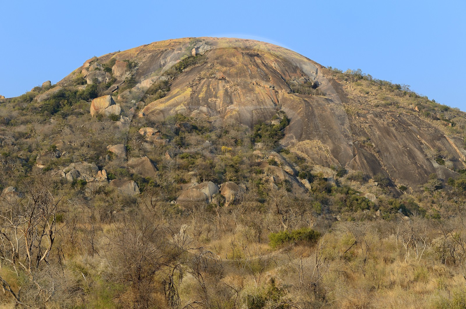 Zimbabwe, province de Matabeleland méridional, Matobo ou Matopos Hills National Park, classé Patrimoine Mondial de l'UNESCO, les collines rocheuses