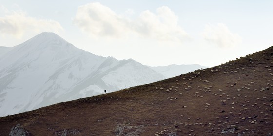 Azerbaïdjan, région de Quba (Guba), chaine de montagne du Grand Caucase, randonnée entre le village de Qalaxudat et de Giriz, berger et son troupeau de moutons