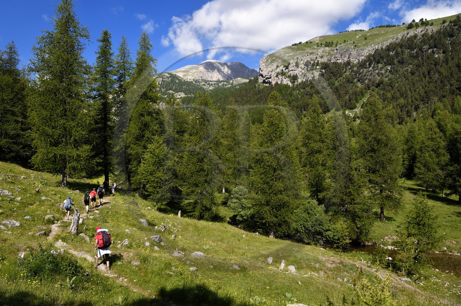 France, Alpes-Maritimes, parc national du Mercantour (Mercantour National Park), vallon de la Minière (Miniere valley) below the Vallee des Merveilles (Valley of Wonders), hiking trail to Mount Bego (2872m) in the background