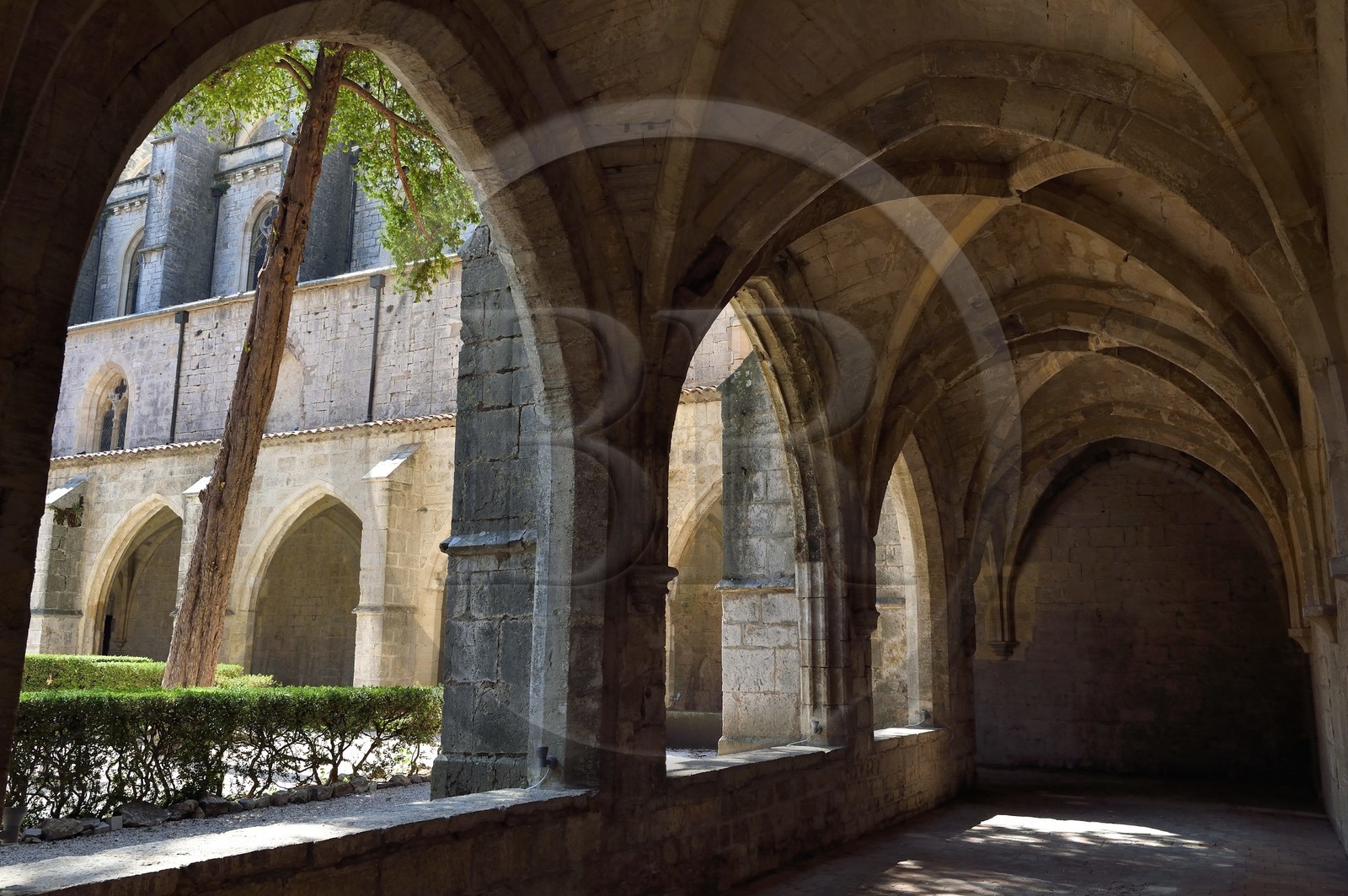 France, Var, Provence Verte, Saint Maximin la Sainte Baume, Sainte Madeleine basilica cloister
