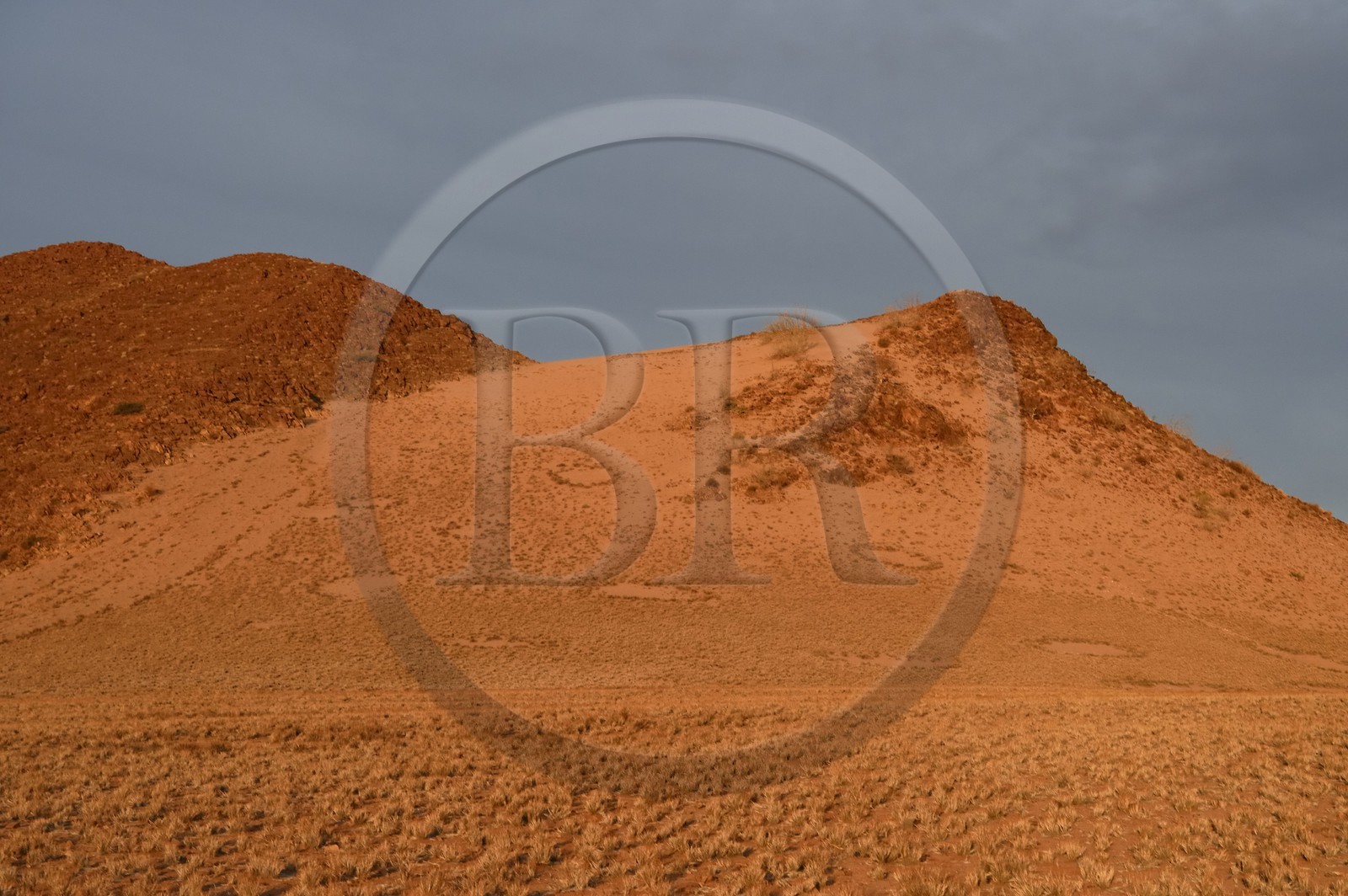Namibie, région de Hardap, désert du Namib à l'Est du parc national Namib Naukluft vers Sossusvlei, cercles de fées dans la plaine du désert recouverte d'herbe au coucher de soleil, petites aires circulaires sans végétation et de forme globalement arrondie ou hexagonales