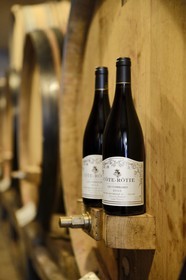 France, Rhone, Parc Naturel Regional du Pilat (Natural Regional Park of Pilat), Ampuis, Cote Rotie AOC vineyards, bottle of Cote Rotie in the wine cellar of the Gilles Barge domain