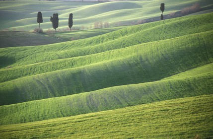 Italy, Tuscany, Val d'Orcia listed as World Heritage by UNESCO, region of Siena, Hills
