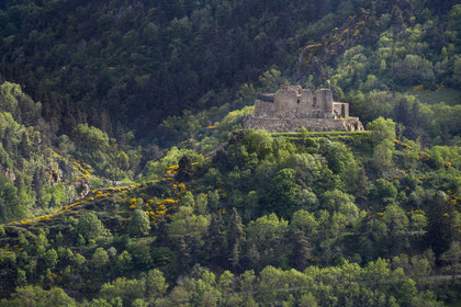 France, Haute-Loire (43), Goudet, le chateau de Beaufort construit vers 1200 domine la vallée de la Loire, randonnée avec un âne sur le chemin de Stevenson (GR 70)