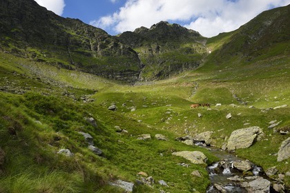 Roumanie, Valachie, Muntenie, Comté de Arges, les monts Fagaras le long de la Route Transfagarasan dans les Carpates du Sud