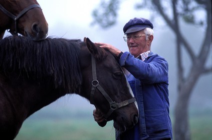France, Ille-et-Vilaine (35), un paysan avec ses chevaux (région de Beauvais)