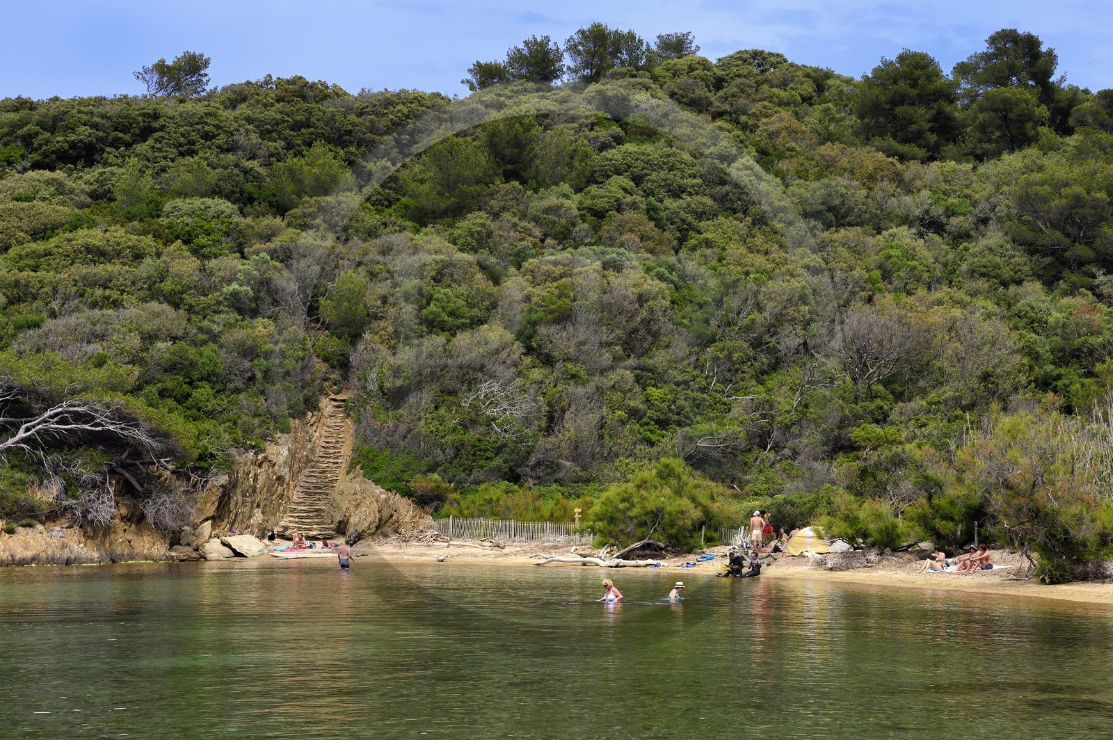 France, Var (83), Iles d'Hyères, Parc national de Port Cros, Ile de Port-Cros, plage de la Palud, sentier sous marin de la Palud